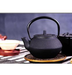 Therme à thé en fonte bouilloire de style japonais avec passoir fower thé puer café pot 300ml 20229754558