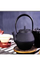 Gietijzeren thee pot theepot Japanse stijl ketel met zeef fower thee puer koffie pot 300 ml 20225097108