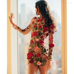 Casual Jurken Jurk Met Lange Mouwen Geborduurd Feest Bloemen Mode Dames Bodycon