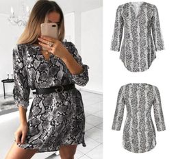 Robes décontractées Sexy Mini Robe Loose Fit À Manches Longues Serpent Imprimer Léopard Femmes V Cou Sukienka XL Summer Beach Lune De Miel Ouvert Side7126292