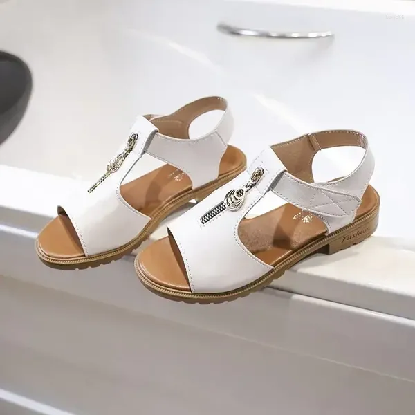 Zapatos casuales 2024 moda verano sandalias de mujer de Color sólido cremallera tacón bajo resistente al desgaste plataforma de mujer