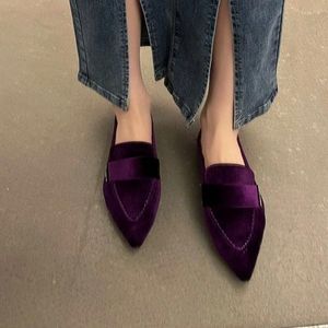 Casual schoenen 2024 Spring puntige teen vrouwen platte mode fluweel dames elegante ballethak slip op loafers