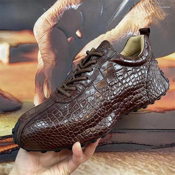 Chaussures décontractées authentiques vraies vraies Crocodile Skin Hommes Brown Sneakers Brown Véritable en cuir en cuir masculin à lacets à lacets à lacets