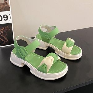 Vrijetijdsschoenen Sandalen met platte hak 2024 Joker voor dames met online beroemdheid Dikke hak Mode Fee Wind en rok in de zomer.