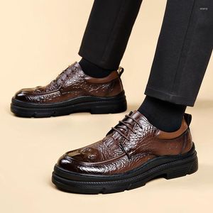 Zapatos casuales Mocasines de cuero genuino para hombres con patrón de cocodrilo Zapatillas de deporte para hombres de negocios con cordones Oxford al aire libre