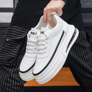 Casual schoenen Koreaanse stijl Heren Wit vatje originele lederen schoen Air kussen Sneakers Flats Platform Schoenen Zapatos HOMBRE