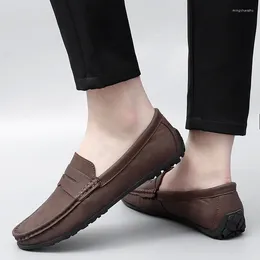 Chaussures décontractées Loveontop hommes Penny mocassins doux sans lacet mocassins en cuir véritable mâle marron grande taille