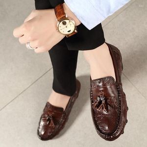 Chaussures décontractées hommes confortable marque de cuir motif crocodile oxfords mocassins de conduite