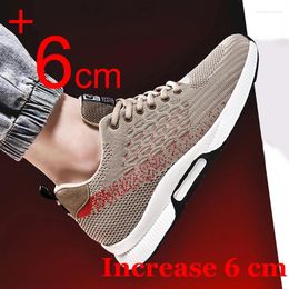 Chaussures décontractées Men Amélioration des talons cachés à l'ascenseur Mesh Sneakers respirants 6 cm Hauteur HEMPS HOMME