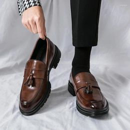 Chaussures décontractées en cuir de mode masculin Vintage English Style Tassel Lefu Cover Wear Outdoor Driving Flat