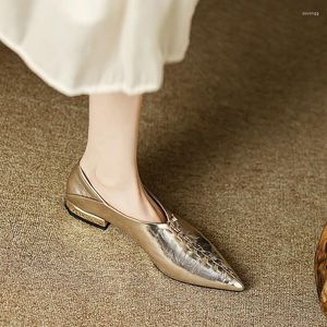 Casual Schoenen Phoentin Designer Gezellige Flats Kantoor Dame Elegante Dames Puntschoen Lage Hakken 2024 Echt Lederen Pumps FT3236