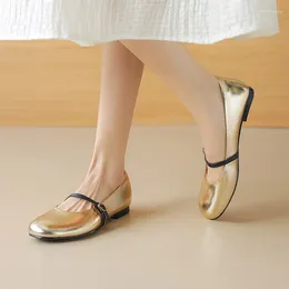 Casual Schoenen Phoentin Vrouwen Retro Zachte Ballet Flats 2024 Lente Party Lage Hakken Mary Janes Ronde Neus Pompen Gouden Zilver FT3141