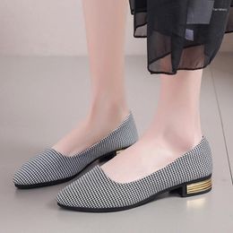 Chaussures décontractées plus taille 35-42 Femmes pointues 2024 Classic Houndstooth Shallow Mouth Ladies Single Summer Confortable Travail