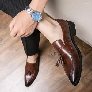 Casual schoenen puntig leer heren rijden ontwerper bruin zwart loafers heren mocassins Italiaanse trouwjurk tas