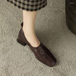 Casual Schoenen Schapenvacht Dames Platte Lente Loafers Echt Leer SquareToe Vrouw Kwaliteit Slip-On Vintage Lady Walk