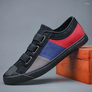 Casual schoenen lente 2024 heren eenvoudige joker canvas ademende gemengde kleuren loafers elastische band jeugd trend