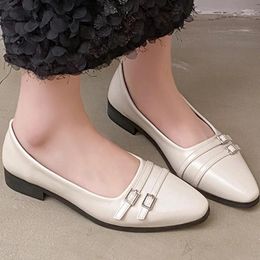 Chaussures décontractées printemps 2024 chaussures plates pour femmes bout pointu en cuir à enfiler grande taille femme Zapatos Para Mujeres
