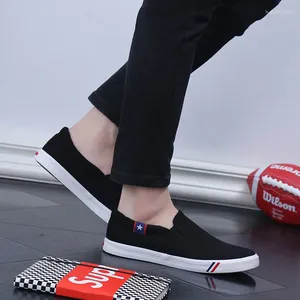 Casual schoenen Lente Koreaans canvas Herenpedaal Lui paarmodellen Wit tij Ademend Extra groot formaat