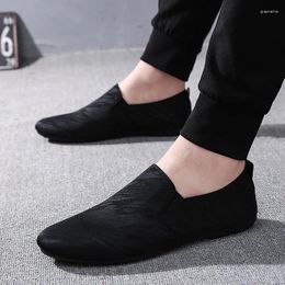 Chaussures décontractées wholl hommes luxe tendance 2024 Slip on Formal MOCASINS MOCCASINS Italien Black Grey Homme Driving Sneakers