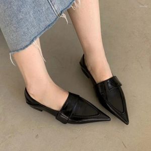 Casual Schoenen Vrouwen Luxe Fluwelen Mocassins Mode Puntschoen Loafers Dames 2024 Lente Zwart Ballet Platte 35-41