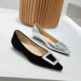 Zapatos casuales pisos para mujeres 2024 primavera moda otoño puntia