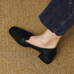 Casual Schoenen Dames Eenvoudige Schapenvacht Lente Loafers Echt Leer SquareToe Vrouw Kwaliteit Instapper Vintage Meisjes Dagelijks