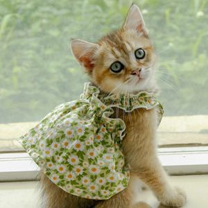 Cat Apparel Summer Slim Little Cute Jupe Jupe Princesse Style Puppy Teddy Pet Dog Pet Clothes 240412