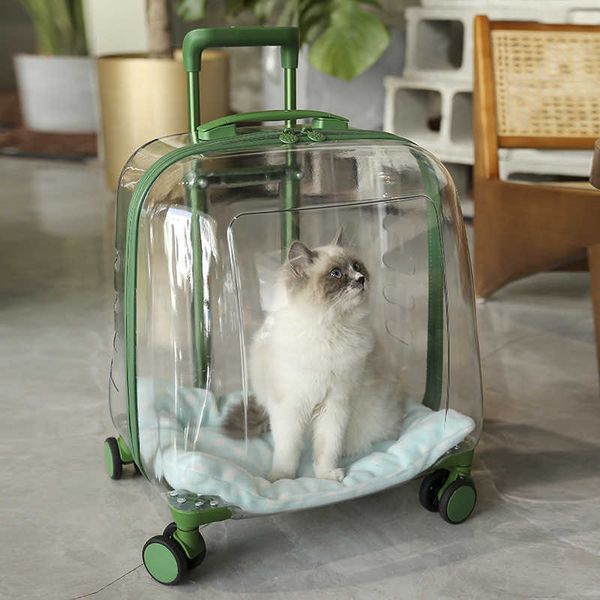 Sac à dos pour chat, expédition de capsules portables, sac à dos pour animaux de compagnie, Transparent, respirant, boîtier de chariot, sac à main 030824a-11111