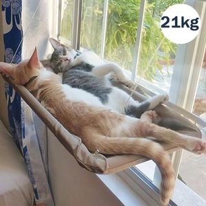 Cat Beds Furniture Hammock Hanging Window Pet For s Small Dogs Sunny Seat Mount With Blanket Bearing 20kg Accessories 230309