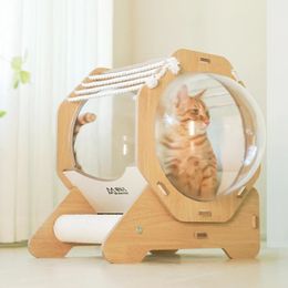 Kattenmanden Meubels Houten Kattenruimte Capsule met Kussen Modern Transparant Kattenkamer Acryl Kleine Huisdieren Bed Katten Gesloten Tunnel Hondenmeubels 231011