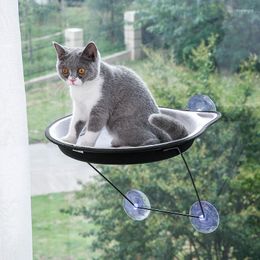 Chat lits fenêtre hamac pour animal de compagnie amovible lit montage Pod chaise longue ventouses maison dormir fournitures gratuit