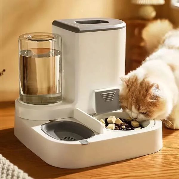 Cat Bol Feeder Automatic Boîte de rangement de nourriture de grande capacité avec distributeur d'eau animaux de compagnie de récipient alimentaire pour les chats alimentant les bols 240407