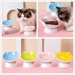 Cat Bowl Ceramic gekanteld verhoogde kitten huisdierenkommen voor kleine honden verhoogde katten water voedsel kommen voedingsborden eten