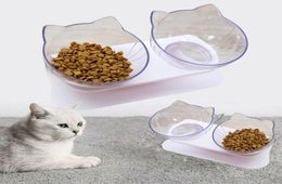 Bols de chats mangeurs de compagnie de compagnie à deux glissements avec un stand surélevé nourriture et eau pour chats chiens fournit des fournitures 1083556