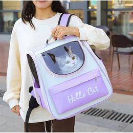 Chat transporteur sac à dos sac de transport pour animaux de compagnie Portable grande capacité chat transporteur pour la randonnée, la marche