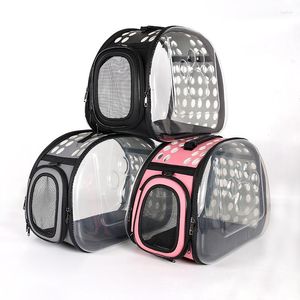 Sac de transport Transparent pour chat, 2023 espaces, sac à dos respirant pour petit chien, Cage de voyage, sac à main pour chaton