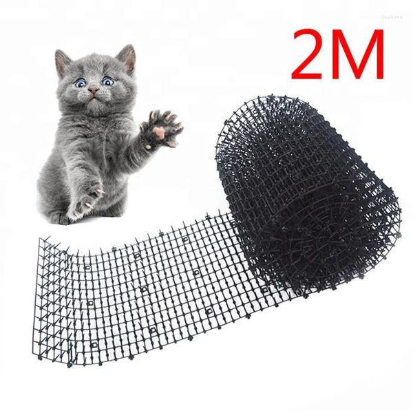 Cat Carriers 2M Garden Scat Mat Anti Gatos Prickle Strips Keep Away Safe Plastic Spike para cachorro proveedor de perros