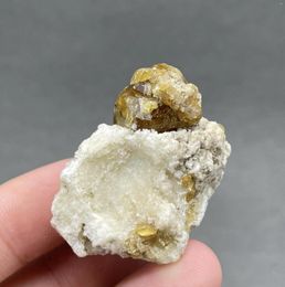 Porte-chats ! 32g naturel Rare Idocrase (vésuvianite) spécimen minéral pierres et cristaux taille de la boîte 3.4 Cm