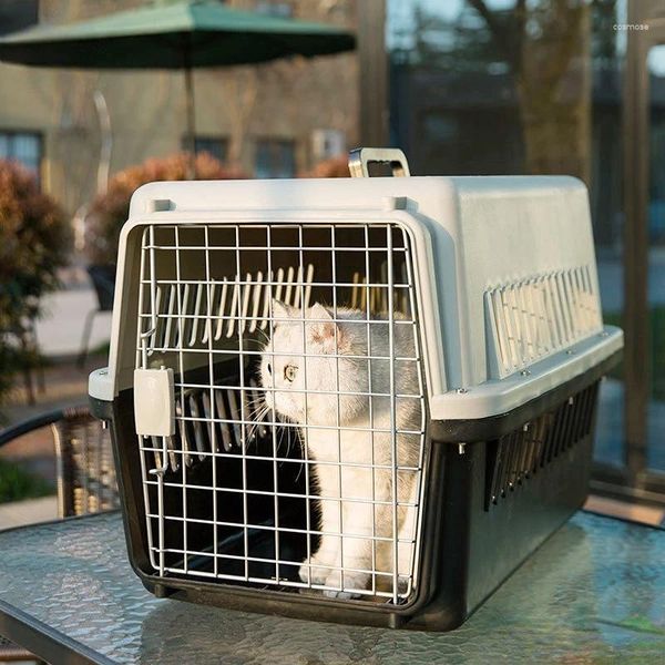 Portadoras de gatos caja de transporte aéreo de transporte de la perrera de dos puertas de dos puertas portador de viajes de mascotas de cara dura PVC para perros pequeños gatos y otros animales