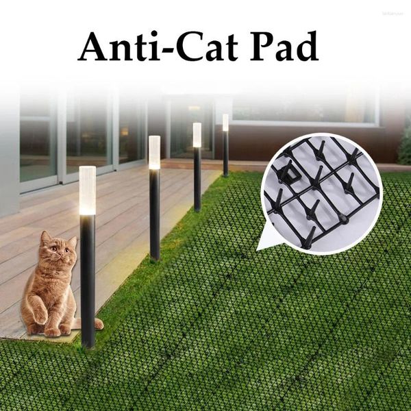 Porteurs de chats anti-pad-cat pad-friendly noirs anti-batte épine ceinture arrêtez les animaux de grimper des pots jardin