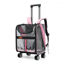 Sac à dos de transport pour chat, respirant, voyage en plein air, Portable, Cage pour chaton, fournitures, poussette pour chien, grande capacité, produits pour animaux de compagnie