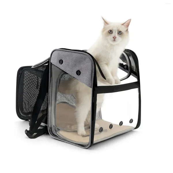 Carriers Cat Carrier de mochila Pet Small Pet para gatos y cachorros Back Pack Senderismo