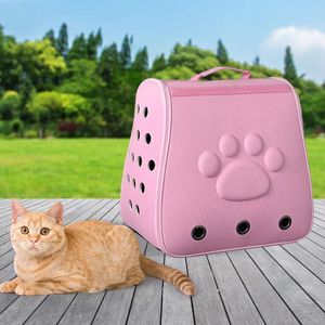 Cat Carriers Backpack Carrier Tote geventileerd ontwerp Draagbare transporttas Comfort Bubble Cage Pet voor kittenhond