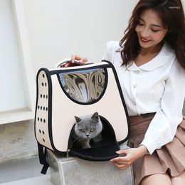 Sac à dos de transport pour chats, sac à main Portable pour animaux de compagnie, sac de transport mignon et respirant, accessoires de voyage