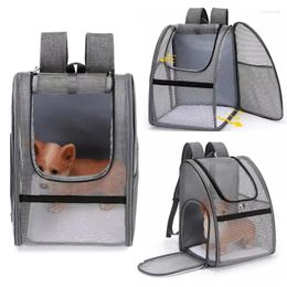 Transporteurs de chats sac à dos d'été en maille respirante sac transporteur d'animaux de compagnie de chiens chats portables de voyage en plein air