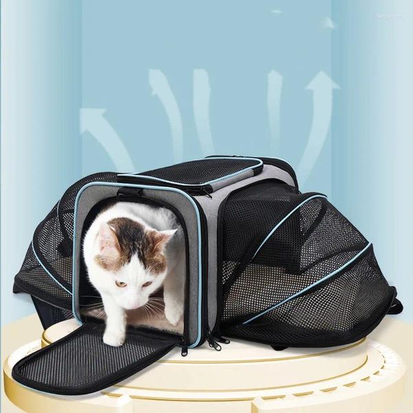 Bolsa de transporte para gatos, mochila cruzada de gran capacidad para mascotas, portátil, de expansión, Teddy