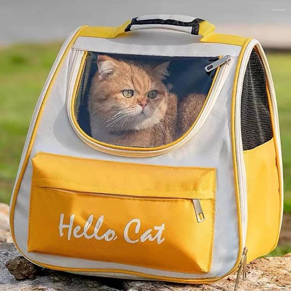 Sac de transport pour chats, sac à dos Portable de grande capacité pour chats et chiens