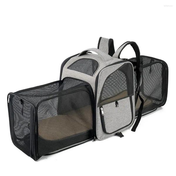 Transporteurs de chats sac porte-animaux de compagnie sac à dos pour les petits chiens chaton voyage transport épaules de transport respirant grande capacité extensible