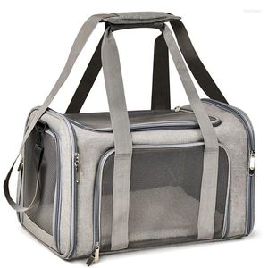 Cat Carriers Bag Portable Simple Messenger Pet Sortir Cage Respirant Pliable Sac À Dos