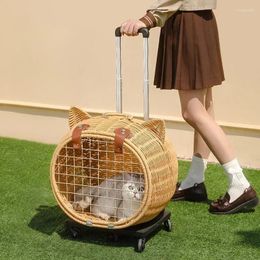 Sac de transport respirant pour chat, caisse Portable pour animaux de compagnie, fourre-tout pour chien avec chariot, Cage tissée à la main, bagage léger, Style Vintage